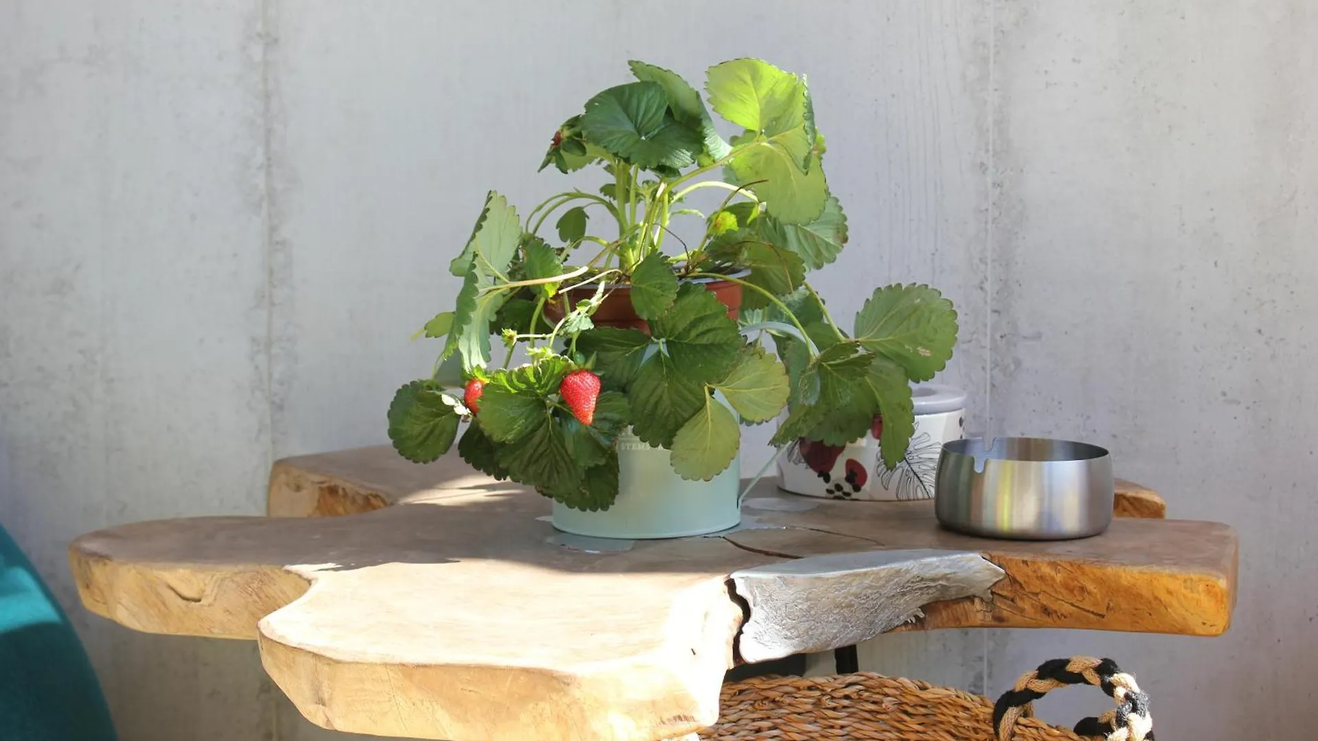 Bed and Breakfast Roby'S Boutique Rooms - Luxury B&B Κατάνια